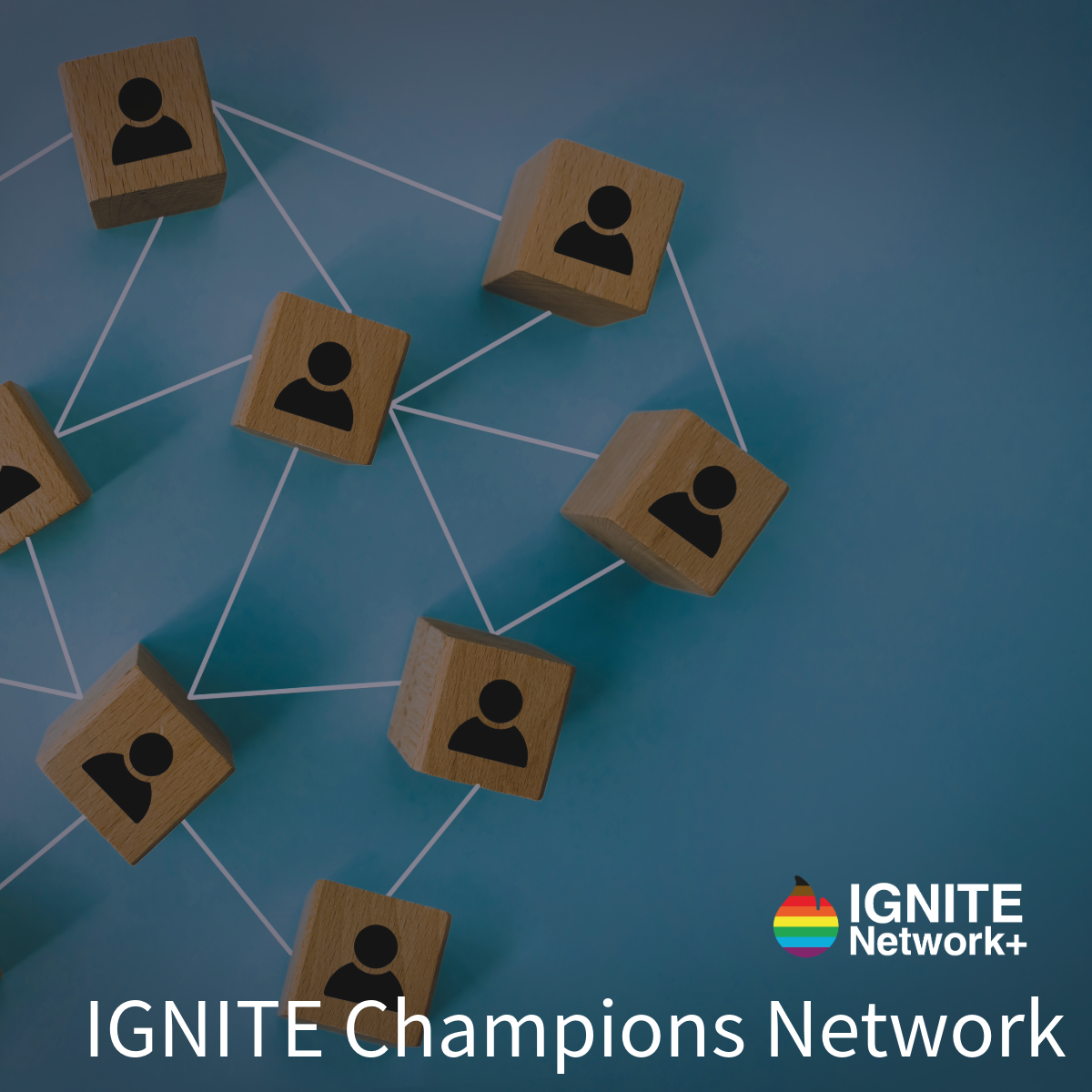 Champions Network image